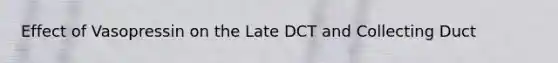 Effect of Vasopressin on the Late DCT and Collecting Duct