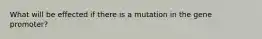 What will be effected if there is a mutation in the gene promoter?