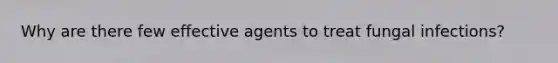 Why are there few effective agents to treat fungal infections?