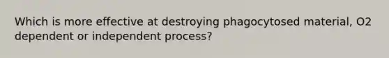 Which is more effective at destroying phagocytosed material, O2 dependent or independent process?