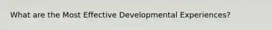 What are the Most Effective Developmental Experiences?