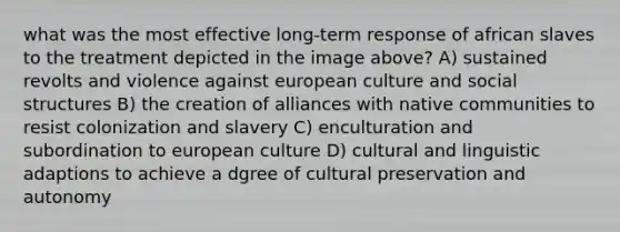 what was the most effective long-term response of african slaves to the treatment depicted in the image above? A) sustained revolts and violence against european culture and social structures B) the creation of alliances with native communities to resist colonization and slavery C) enculturation and subordination to european culture D) cultural and linguistic adaptions to achieve a dgree of cultural preservation and autonomy