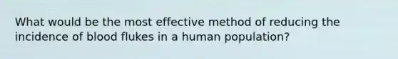 What would be the most effective method of reducing the incidence of blood flukes in a human population?