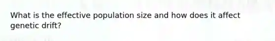 What is the effective population size and how does it affect genetic drift?