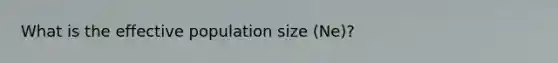 What is the effective population size (Ne)?