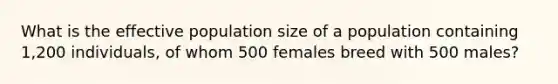 What is the effective population size of a population containing 1,200 individuals, of whom 500 females breed with 500 males?