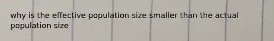 why is the effective population size smaller than the actual population size