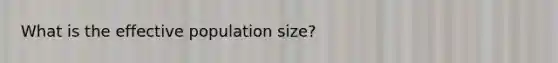 What is the effective population size?