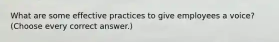 What are some effective practices to give employees a voice? (Choose every correct answer.)