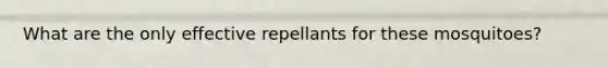 What are the only effective repellants for these mosquitoes?