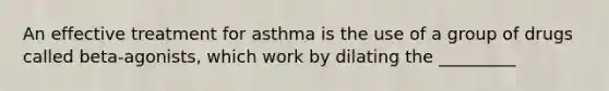 An effective treatment for asthma is the use of a group of drugs called beta-agonists, which work by dilating the _________