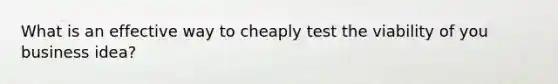 What is an effective way to cheaply test the viability of you business idea?