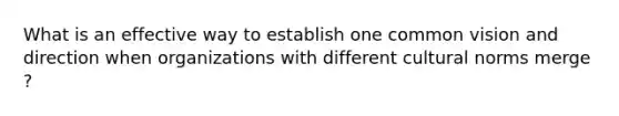 What is an effective way to establish one common vision and direction when organizations with different cultural norms merge ?