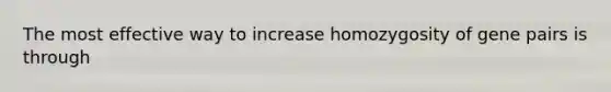 The most effective way to increase homozygosity of gene pairs is through