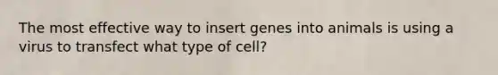 The most effective way to insert genes into animals is using a virus to transfect what type of cell?