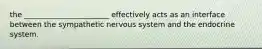 the _______________________ effectively acts as an interface between the sympathetic nervous system and the endocrine system.