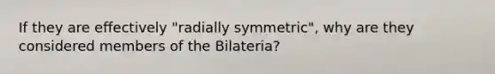 If they are effectively "radially symmetric", why are they considered members of the Bilateria?