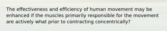 The effectiveness and efficiency of human movement may be enhanced if the muscles primarily responsible for the movement are actively what prior to contracting concentrically?