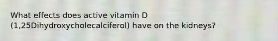 What effects does active vitamin D (1,25Dihydroxycholecalciferol) have on the kidneys?