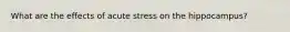 What are the effects of acute stress on the hippocampus?