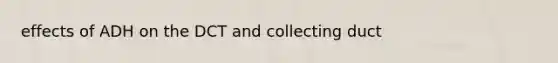 effects of ADH on the DCT and collecting duct
