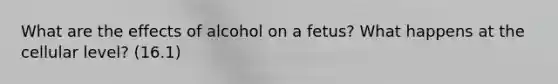 What are the effects of alcohol on a fetus? What happens at the cellular level? (16.1)