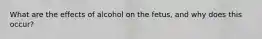 What are the effects of alcohol on the fetus, and why does this occur?