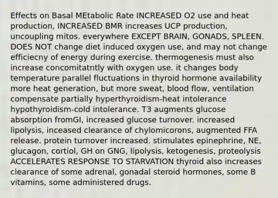 Effects on Basal MEtabolic Rate INCREASED O2 use and heat production, INCREASED BMR increases UCP production, uncoupling mitos. everywhere EXCEPT BRAIN, GONADS, SPLEEN. DOES NOT change diet induced oxygen use, and may not change efficiecny of energy during exercise. thermogenesis must also increase concomitatntly with oxygen use. it changes body temperature parallel fluctuations in thyroid hormone availability more heat generation, but more sweat, blood flow, ventilation compensate partially hyperthyroidism-heat intolerance hypothyroidism-cold intolerance. T3 augments glucose absorption fromGI, increased glucose turnover. increased lipolysis, inceased clearance of chylomicorons, augmented FFA release. protein turnover increased. stimulates epinephrine, NE, glucagon, cortiol, GH on GNG, lipolysis, ketogenesis, proteolysis ACCELERATES RESPONSE TO STARVATION thyroid also increases clearance of some adrenal, gonadal steroid hormones, some B vitamins, some administered drugs.