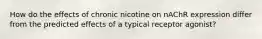 How do the effects of chronic nicotine on nAChR expression differ from the predicted effects of a typical receptor agonist?