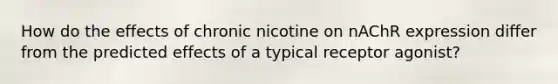 How do the effects of chronic nicotine on nAChR expression differ from the predicted effects of a typical receptor agonist?