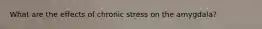 What are the effects of chronic stress on the amygdala?