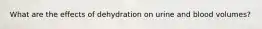 What are the effects of dehydration on urine and blood volumes?