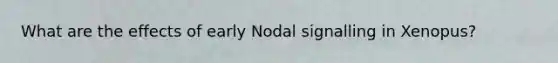 What are the effects of early Nodal signalling in Xenopus?