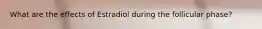 What are the effects of Estradiol during the follicular phase?