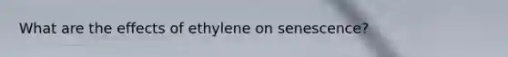 What are the effects of ethylene on senescence?