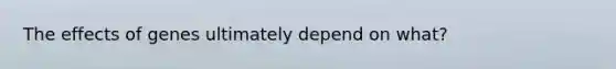 The effects of genes ultimately depend on what?