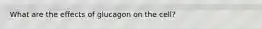 What are the effects of glucagon on the cell?