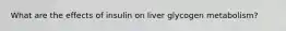 What are the effects of insulin on liver glycogen metabolism?