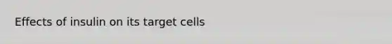 Effects of insulin on its target cells