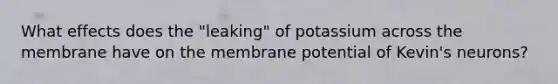 What effects does the "leaking" of potassium across the membrane have on the membrane potential of Kevin's neurons?