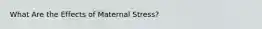 What Are the Effects of Maternal Stress?