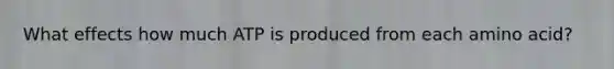 What effects how much ATP is produced from each amino acid?