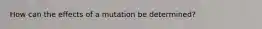 How can the effects of a mutation be determined?