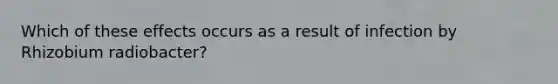 Which of these effects occurs as a result of infection by Rhizobium radiobacter?