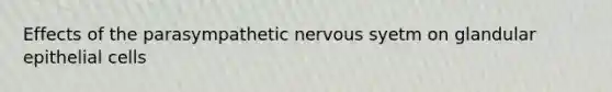 Effects of the parasympathetic nervous syetm on glandular epithelial cells