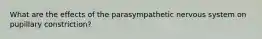 What are the effects of the parasympathetic nervous system on pupillary constriction?