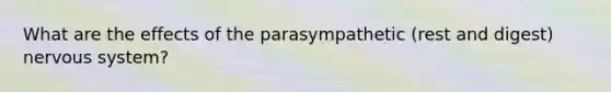 What are the effects of the parasympathetic (rest and digest) nervous system?