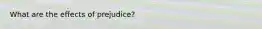 What are the effects of prejudice?