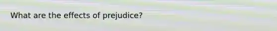 What are the effects of prejudice?