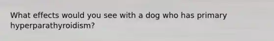 What effects would you see with a dog who has primary hyperparathyroidism?